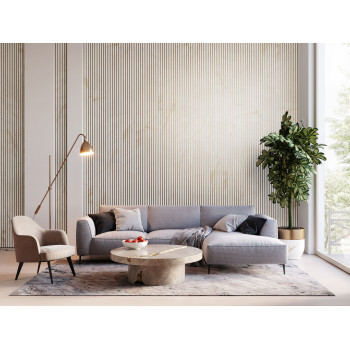 Lot de 2 Panneaux tasseaux...