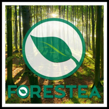 Marche rénovation...