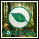 Kit de pose pour revêtement de Sol stratifié effet parquet.