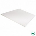 Plateau mélaminé blanc 1200 x 800 x 18 mm - PEFC 75% .