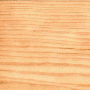 Plateau pin maritime massif lamellé collé abouté 1500 X 650 X 36 mm - FSC 100%.